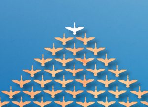 Read more about the article The Future of Organized Dentistry: How SCCDS is Leading the Way